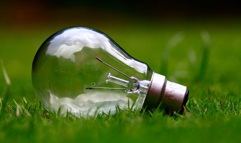 New renewable Energy Fund partnership between Vitol and Low Carbon - Green grass and light bulb