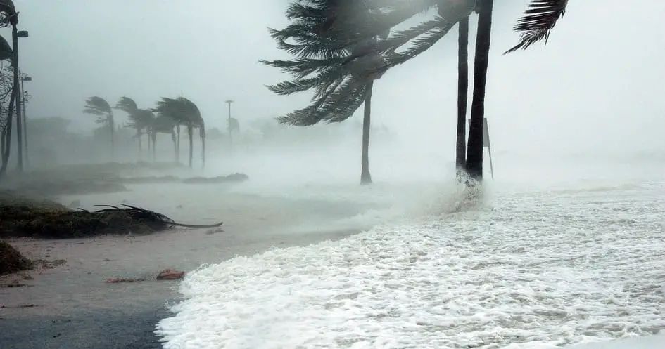 Solar power holds strong in the face of Hurricane Florence