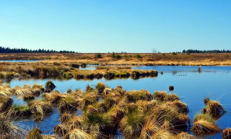 Peat GHG emissions - Peat Bog