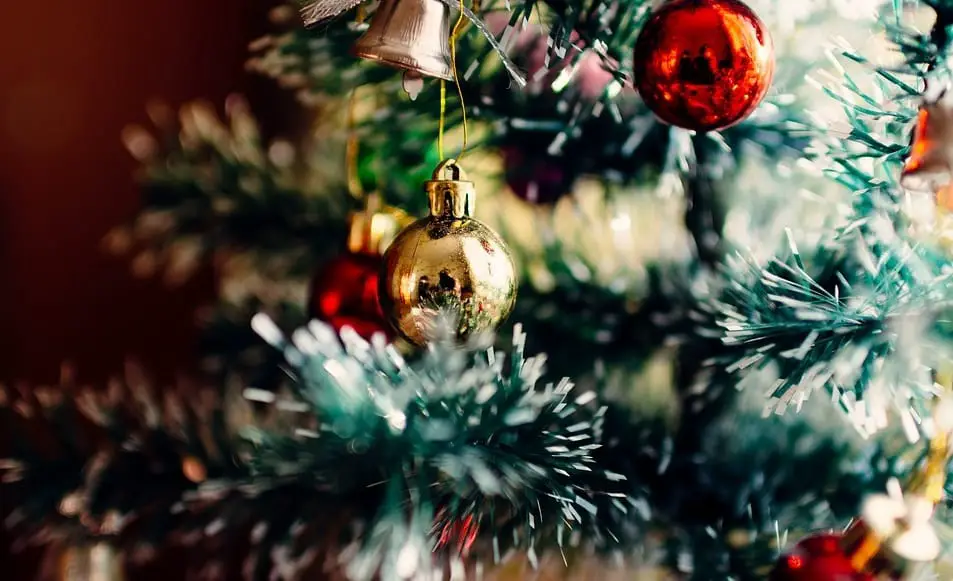 Artificial or real: which is the more eco-friendly Christmas tree? Artificial or real: which is the more eco-friendly Christmas tree?