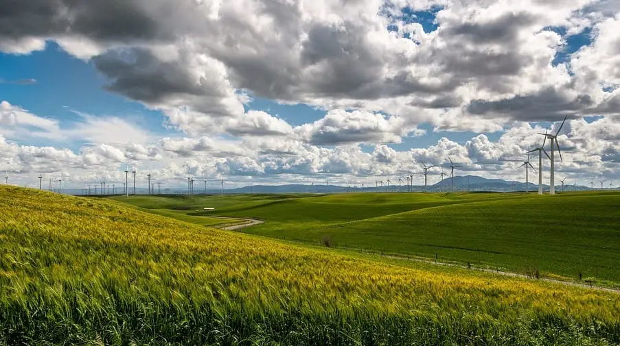 Oahu Wind Farm - Wind turbine farm in fields