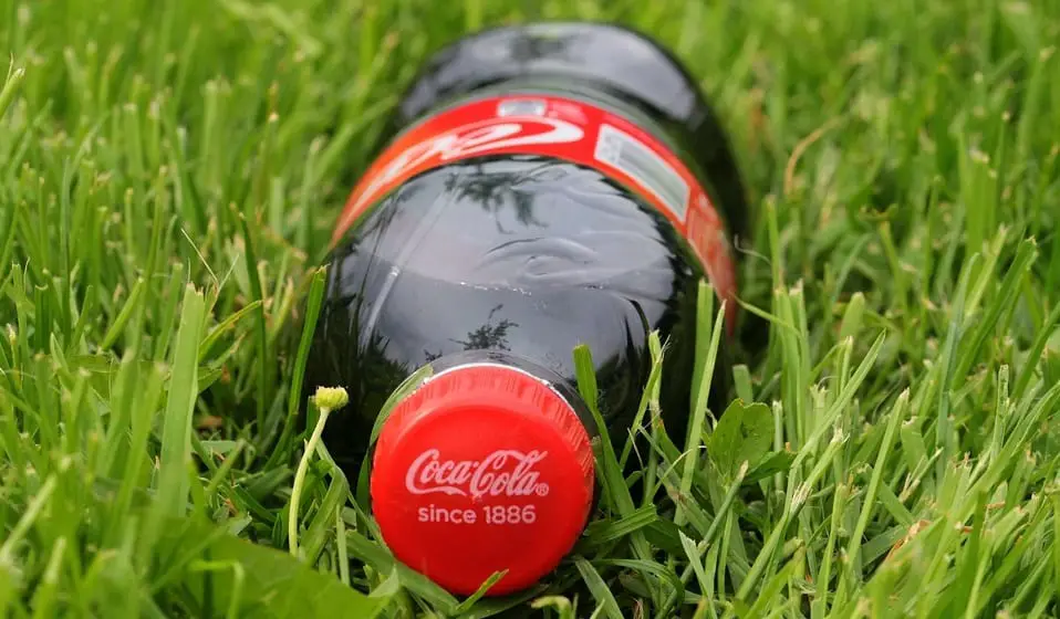 Coca Cola recycling - Bottle of Coke in Grass