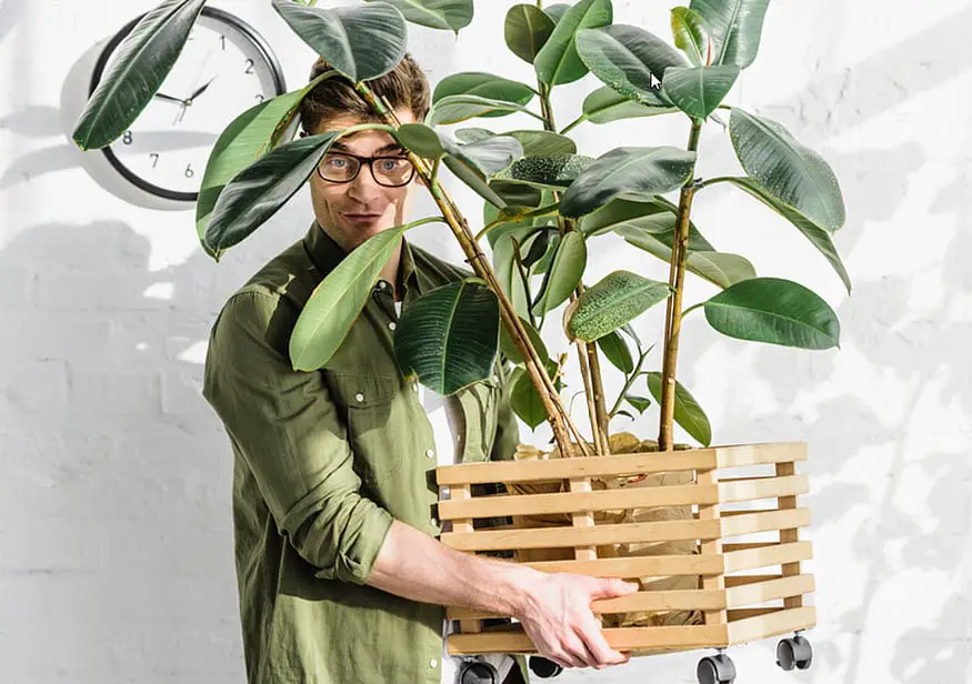 10 Indoor Plants That Purify The Air Around You 10 Indoor Plants That Purify The Air Around You