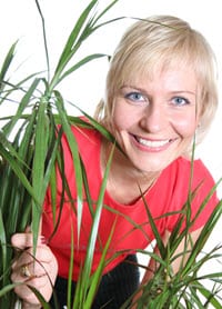 indoor plants that purify the air