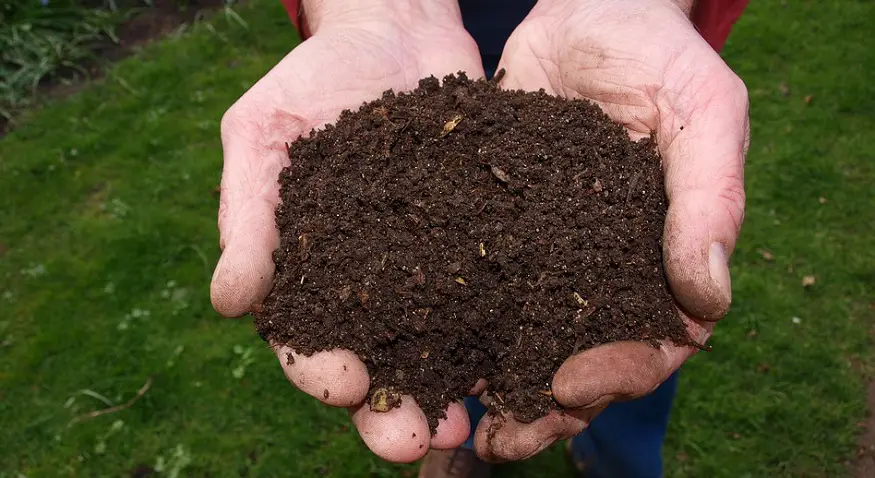 Human body composting as death care option to become legal in Washington State