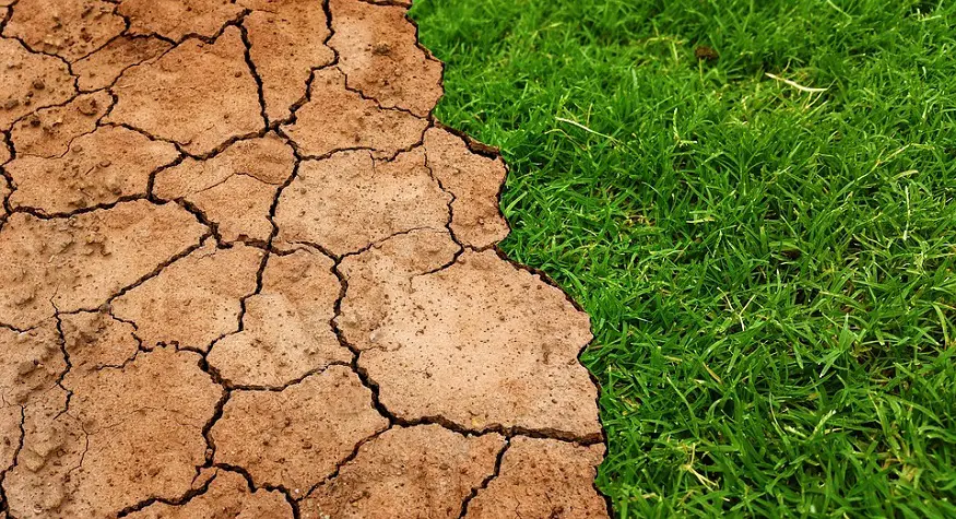 Climate change lawsuits - Global warming - dry land vs grass