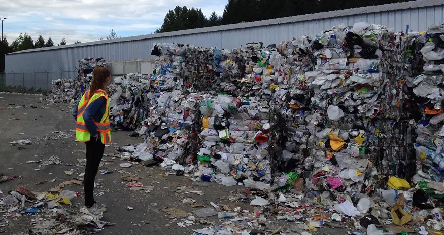 US recycling - woman looking at garbage