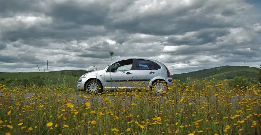 hydrogen fuel cells - environment - car