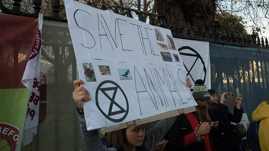 Extinction Rebellion protest hits New York with fake blood, dancing and chanting