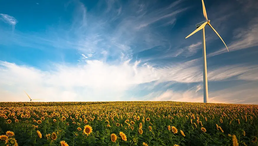 Renewable power goal - wind turbine in field of sunflowers