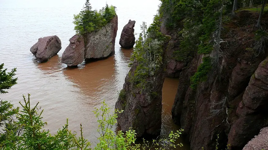 Two companies team up to harness floating tidal energy technology at Bay of Fundy