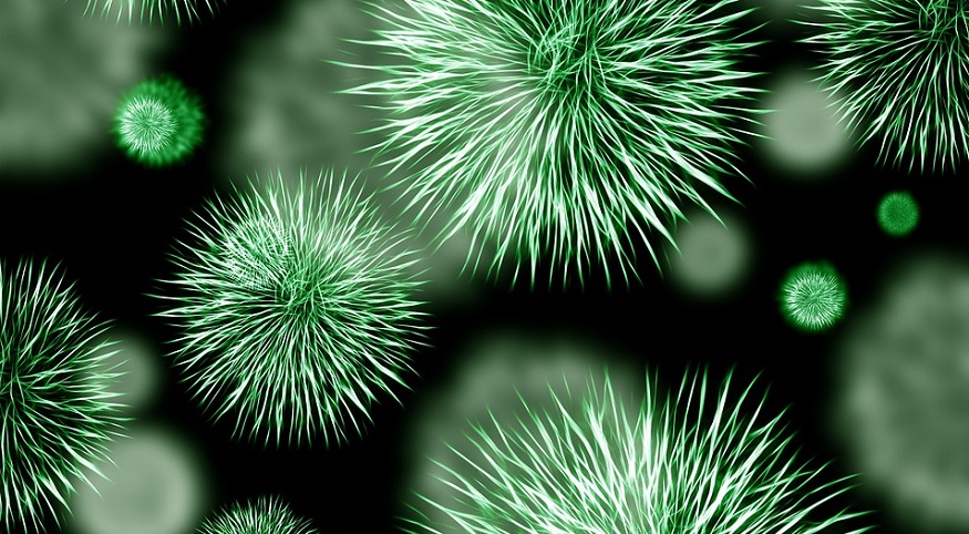 bio hydrogen production - green bacteria