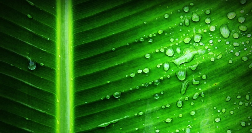 Researchers improve efficiency of producing Hydrogen from sunlight Researchers improve efficiency of producing Hydrogen from sunlight
