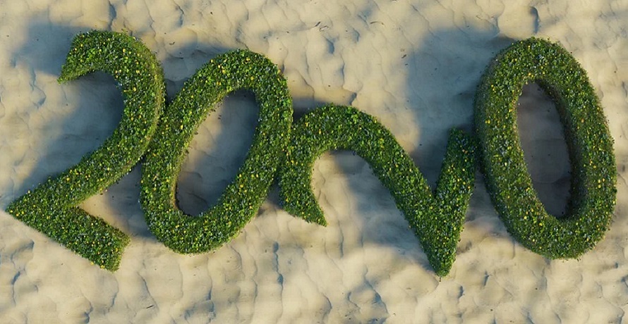 Green New Year's Resolutions - 2020 nature sign on sand