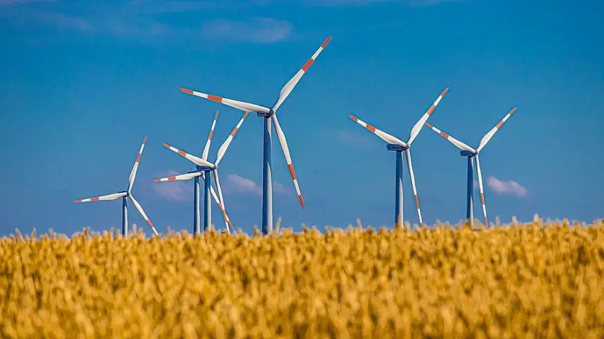 wind farm operators - wind turbines