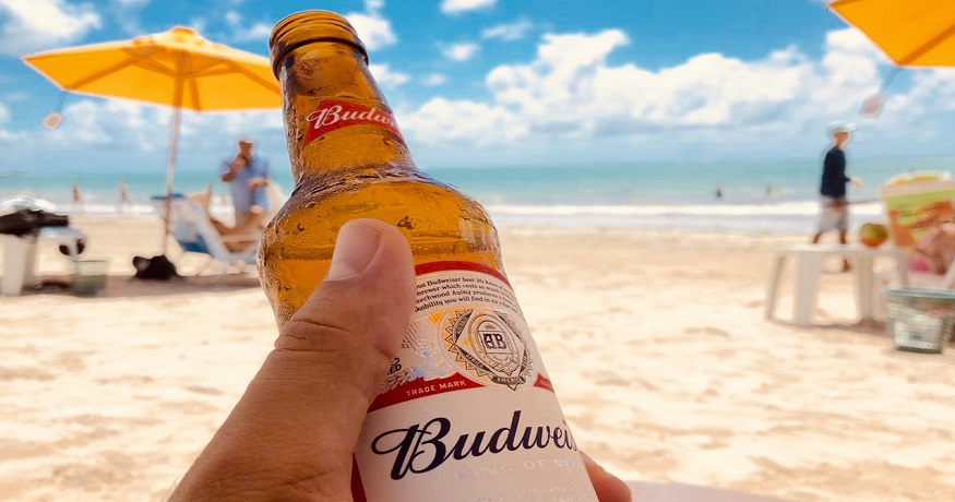 Budweiser solar farm - Budweiser beer - beech