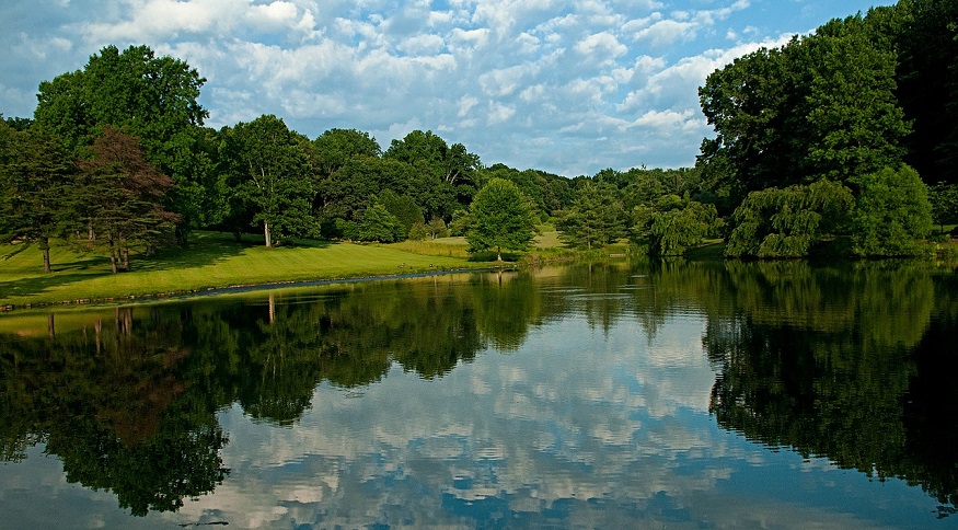 carbon-free electricity - green park in Virginia