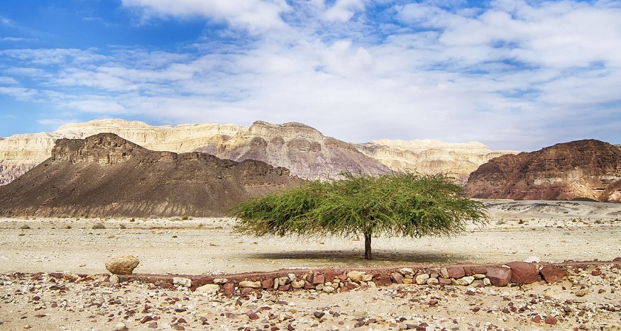 Israel’s new water and energy infrastructure plan to add 2 GW of solar