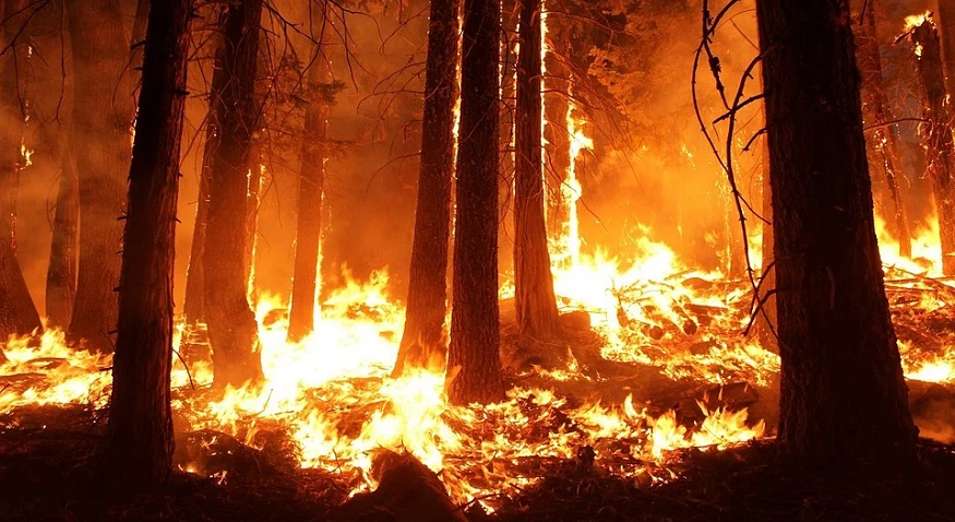 Siberian temperatures are breaking records, melting permafrost and lighting fires Siberian temperatures are breaking records, melting permafrost and lighting fires