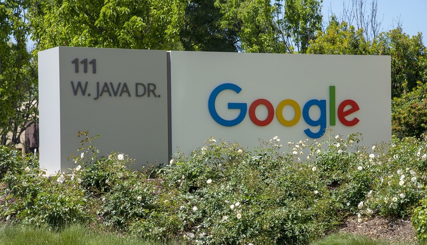 Lifetime net zero carbon footprint - Google sign in plants and grass