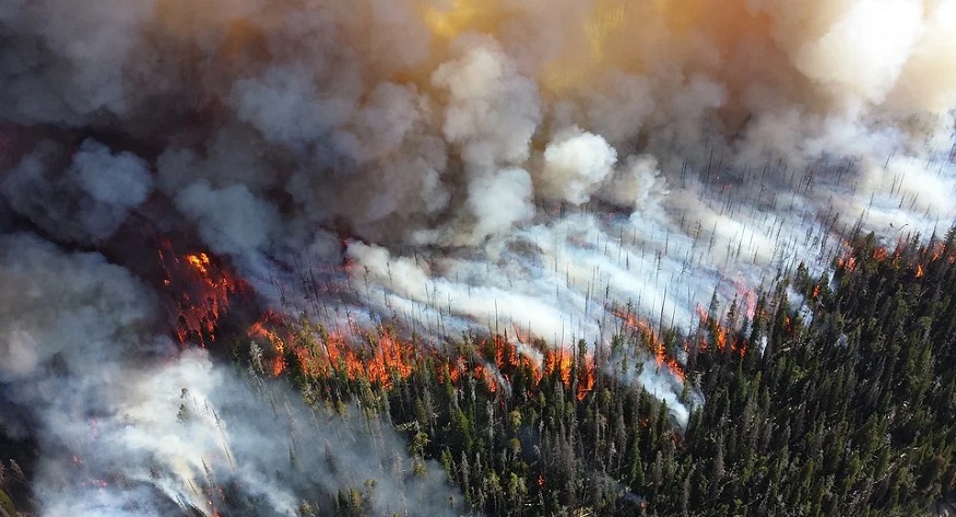 Wildfire smoke - forest fire and smoke