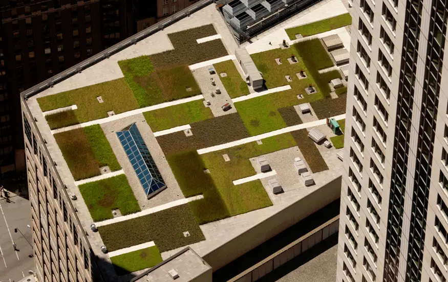 green roof green business