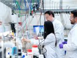 Catalysis research laboratory - researchers working in lab