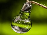 clean energy commitment - light bulb - green