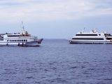 Hydrogen fuel cell ferry - image of ferries on water