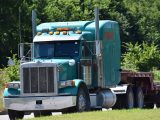 Fuel Cell Trucks - Truck near trees