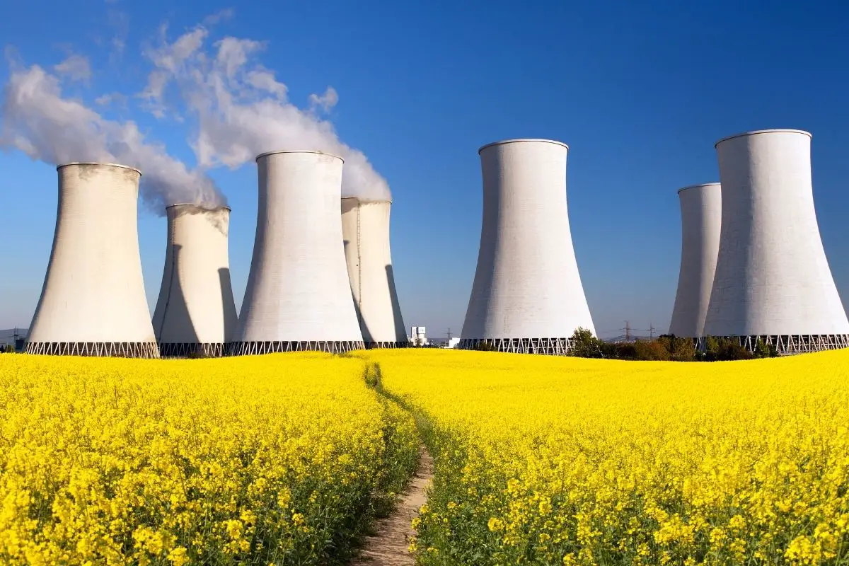 Pink hydrogen - nuclear power