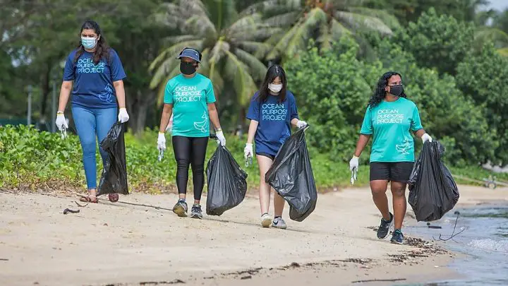 Ocean Purpose Project plastic to energy project is moving forward at full power