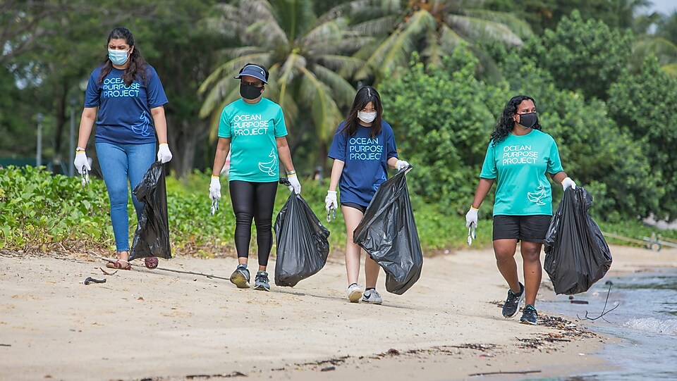 Ocean Purpose Project plastic to energy project is moving forward at full power Ocean Purpose Project plastic to energy project is moving forward at full power