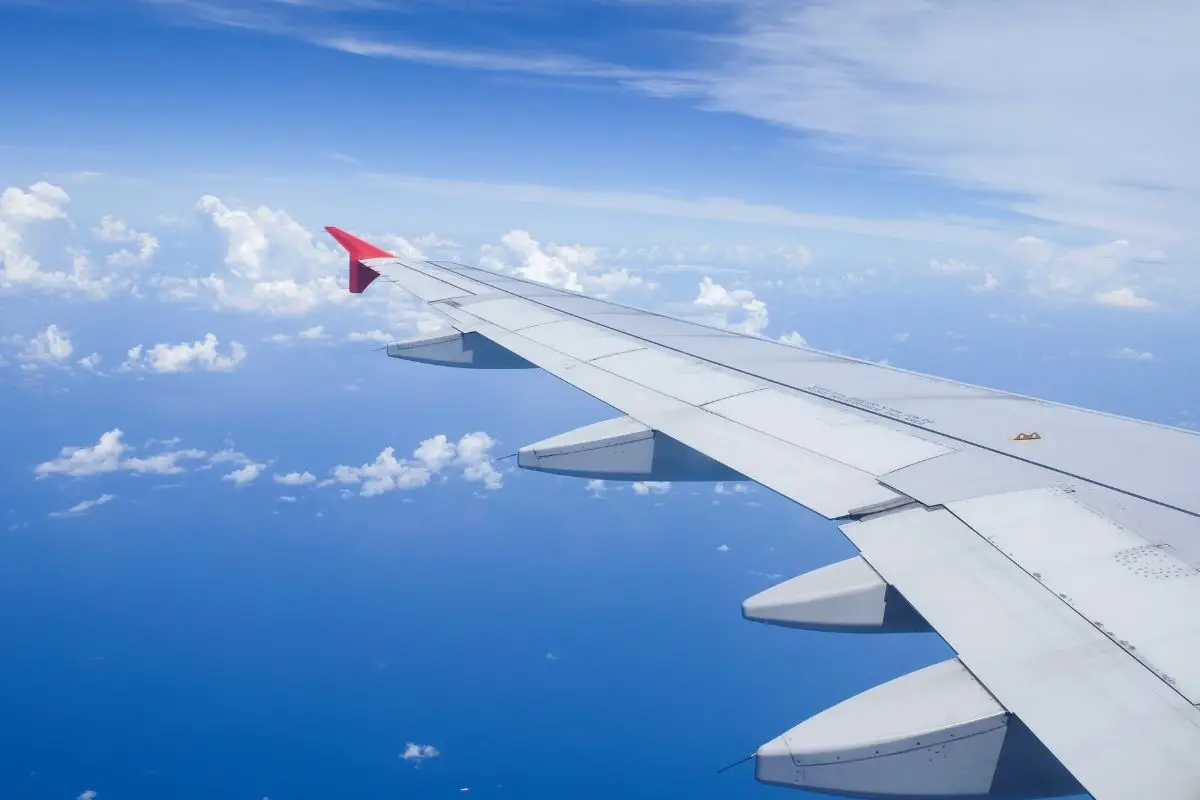 Hydrogen fuel cell - airplane in flight