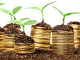 Green hydrogen - investment - coins