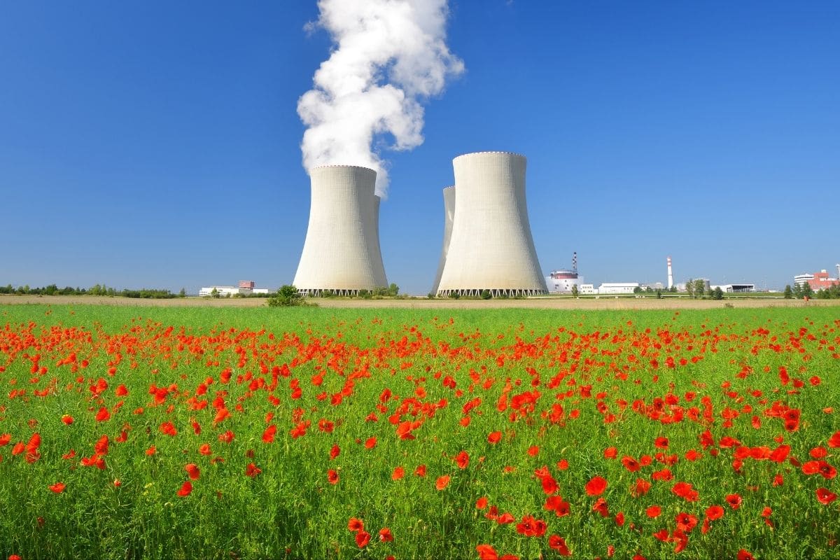 Pink hydrogen - nuclear power plant near flower field