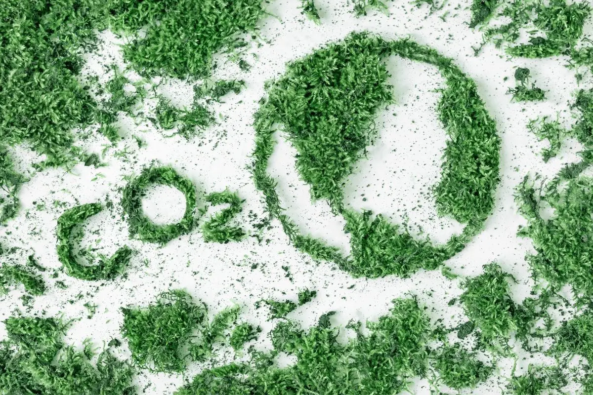Evergreen Hydrogen - CO2