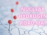 Nuclear hydrogen Road Map