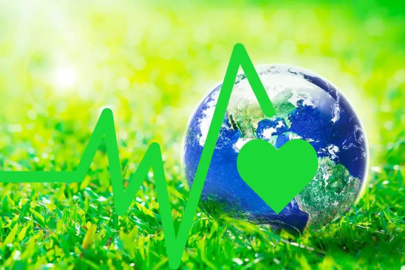 Hydrogen fuel technology - Earth Wellbeing - Grass