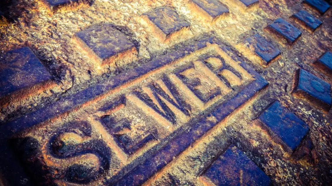 Researchers find way to produce hydrogen fuel using sewer bacteria Researchers find way to produce hydrogen fuel using sewer bacteria