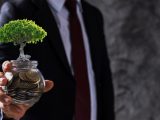 green energy investment - tree, money