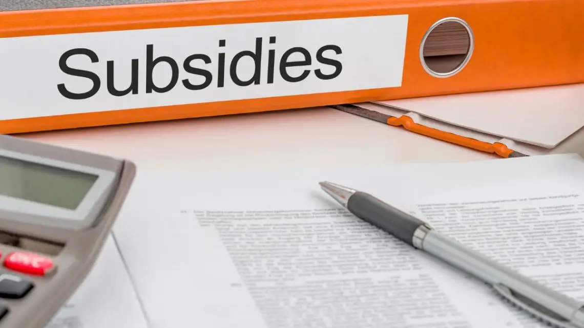 Fuel cell vehicles are getting a boost from trucking and subsidies Fuel cell vehicles are getting a boost from trucking and subsidies