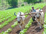 Hydrogen fuel -Indian Farmer