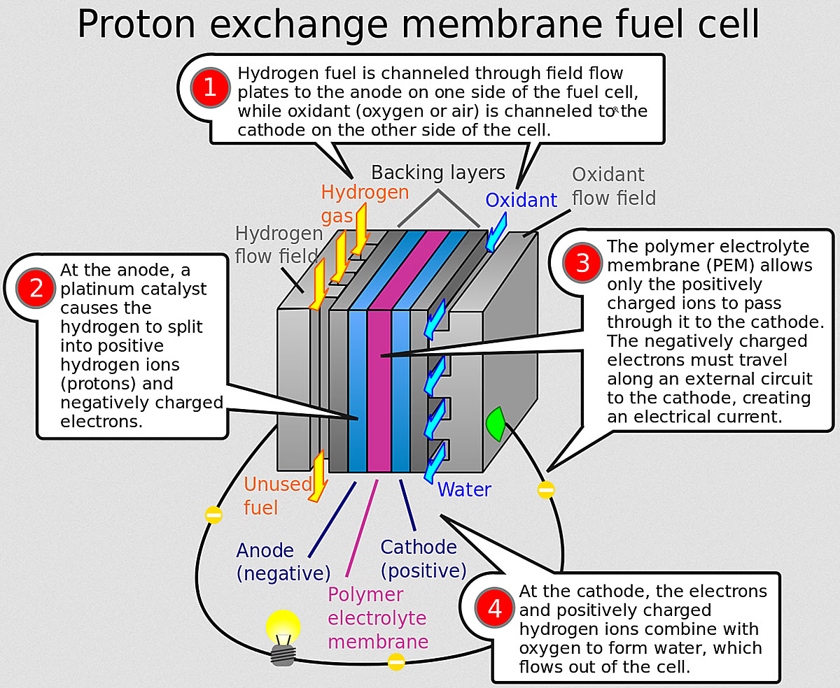 Illustration of how a PEM fuel cell works