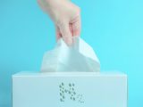 Clean hydrogen - Person pulling tissue from box
