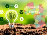 Green hydrogen - Africa domestic energy