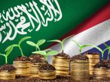 Green hydrogen investment - Saudi Arabia and Thailand Flags