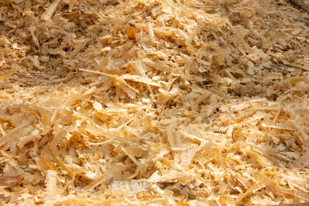 Hydrogen fuel production - Image of sawdust and shavings