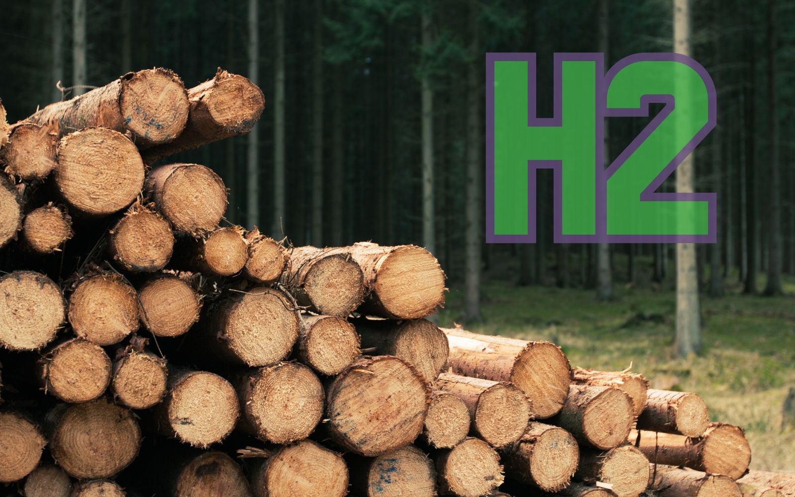 Hydrogen fuel production offers cleaner sawmill residue uses H2 News