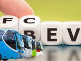 Fuel cell buses - FC and BEV buses